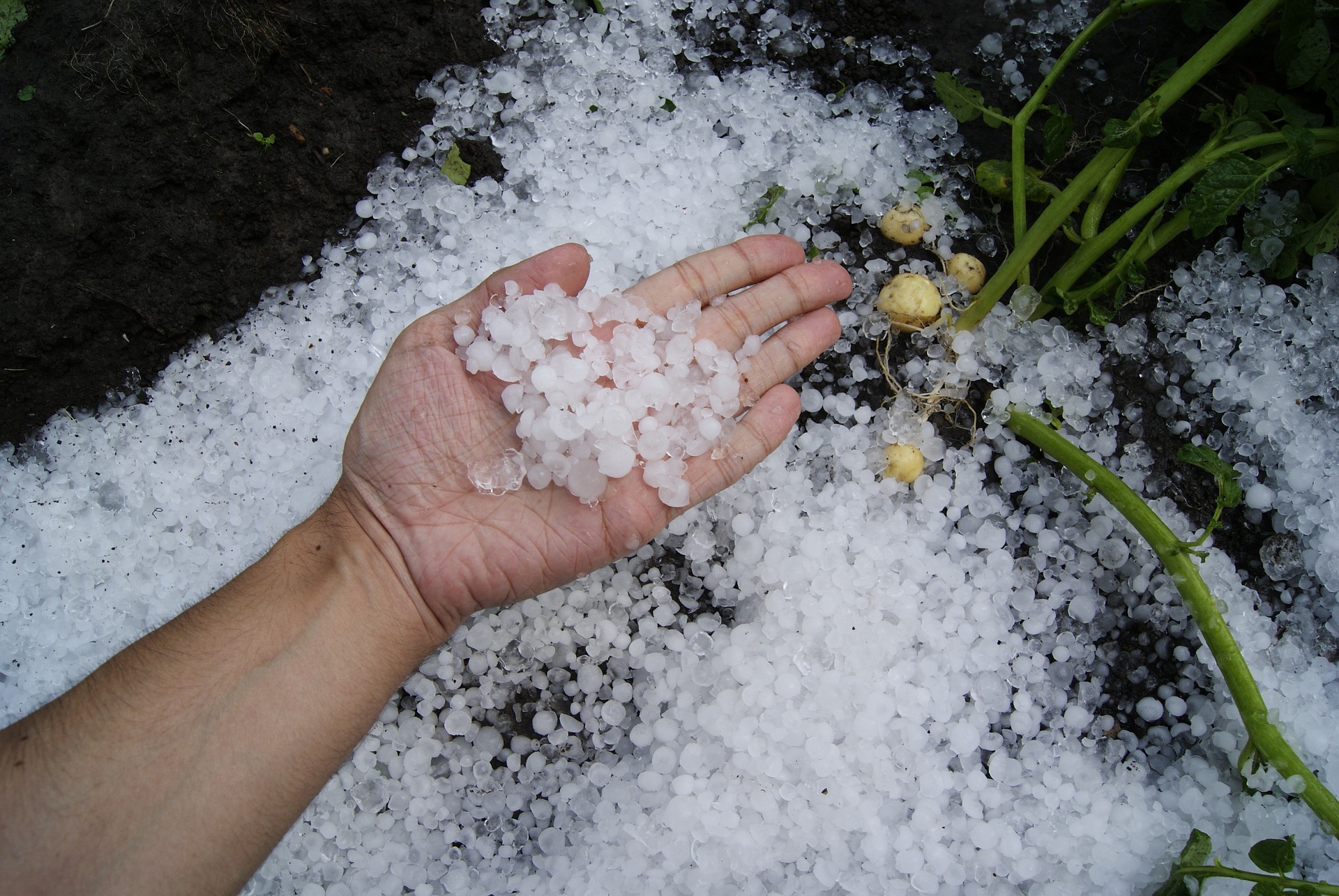 Public Adjuster GA Hail Damage